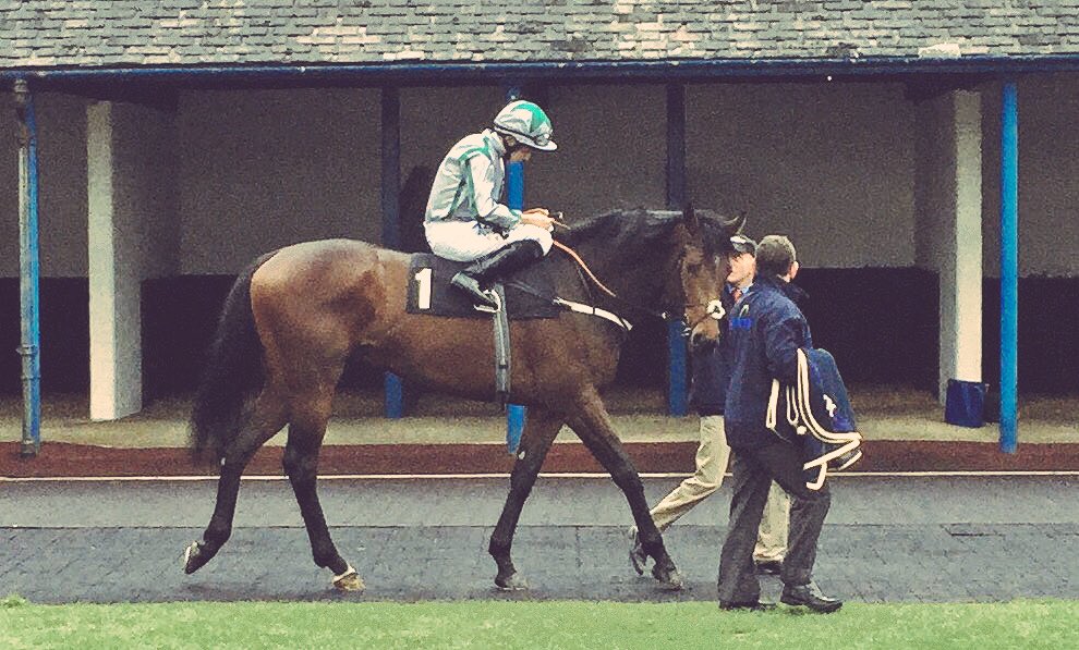 meaderacing's tweet photo. **WINNER** C Note wins the Loddington Conditions Race @LeicesterRaces for Rick Barnes under a cool ride by R. Moore https://t.co/iUEjc6xRp3
