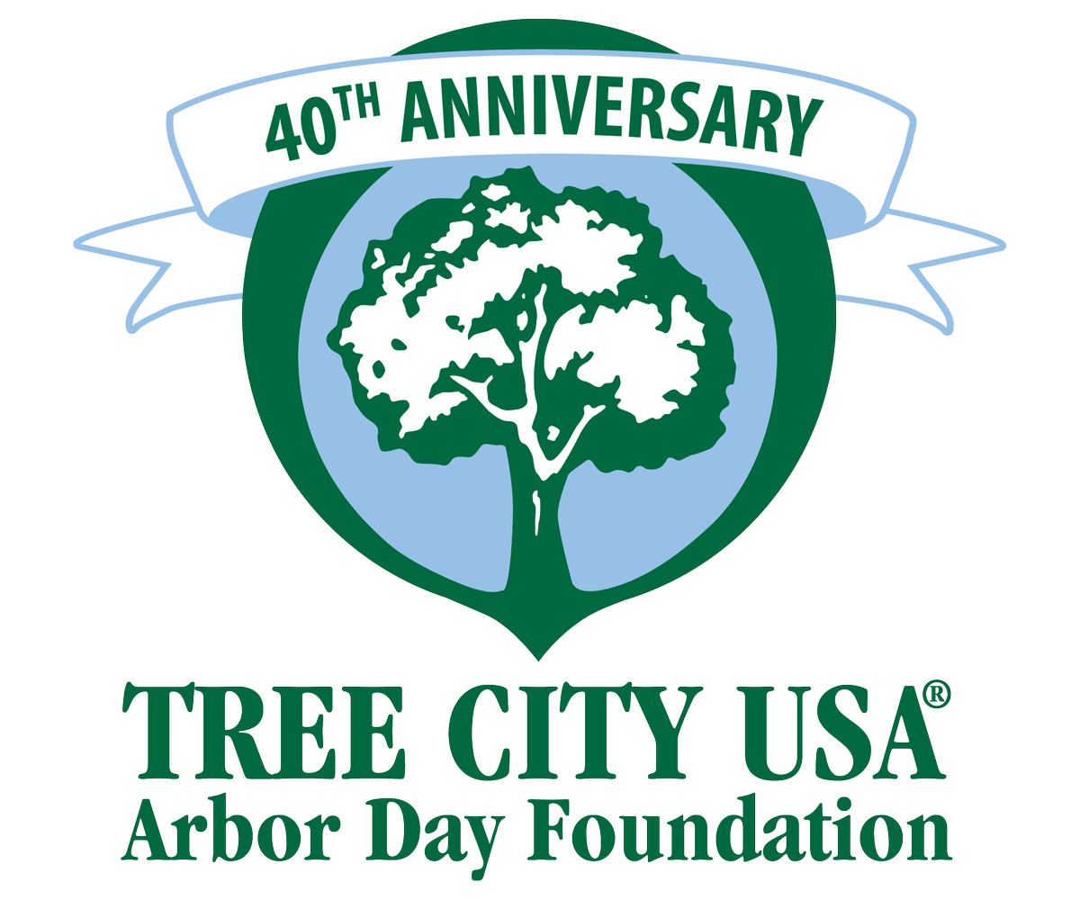 arborday's tweet photo. Celebrate the #TreeCityUSA program's 40th Anniversary! https://t.co/E7iUiRp2uY via @StateForesters https://t.co/zZu5dC7EK6