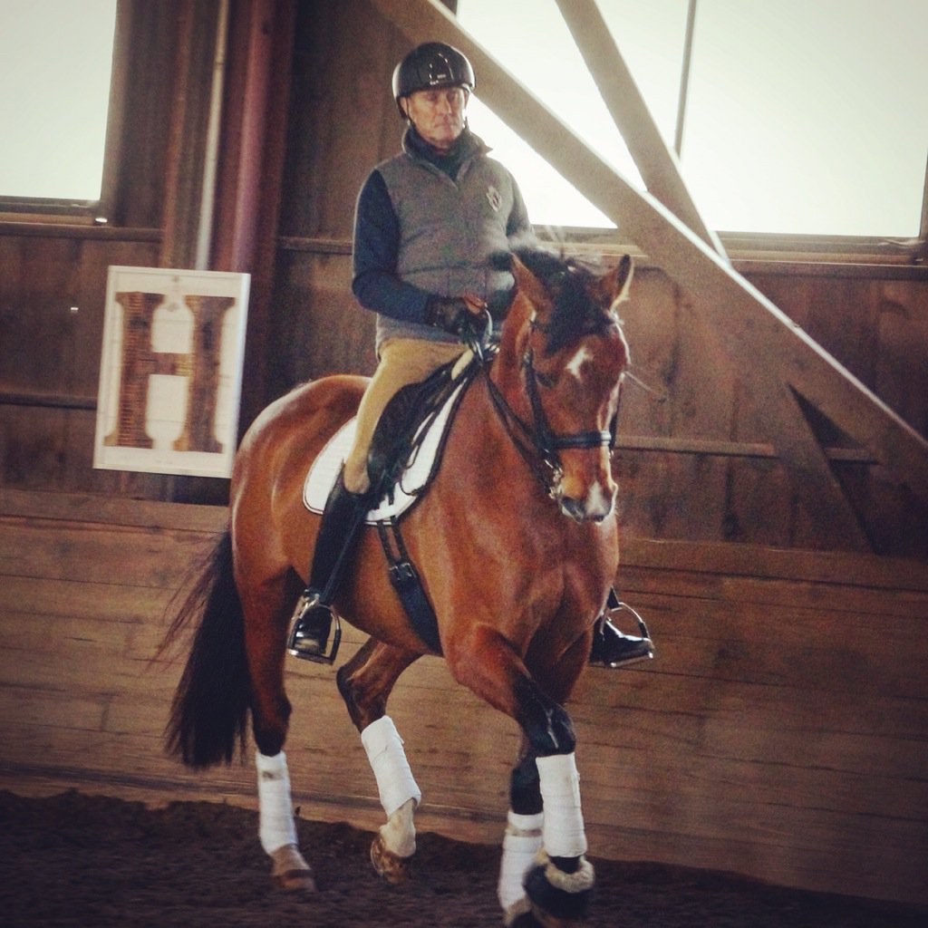 NEDADressage's tweet photo. NEDA Symposium I w/ Rien van der Schaft, 4/30-5/1 Register online: https://t.co/C4x4daRbvP #nedadressage #dressage https://t.co/RsD252rbSe