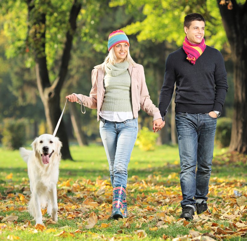 GoFetch is Canada's first dog walking app that connects dog owners with dog walkers in their city.
#canada #app