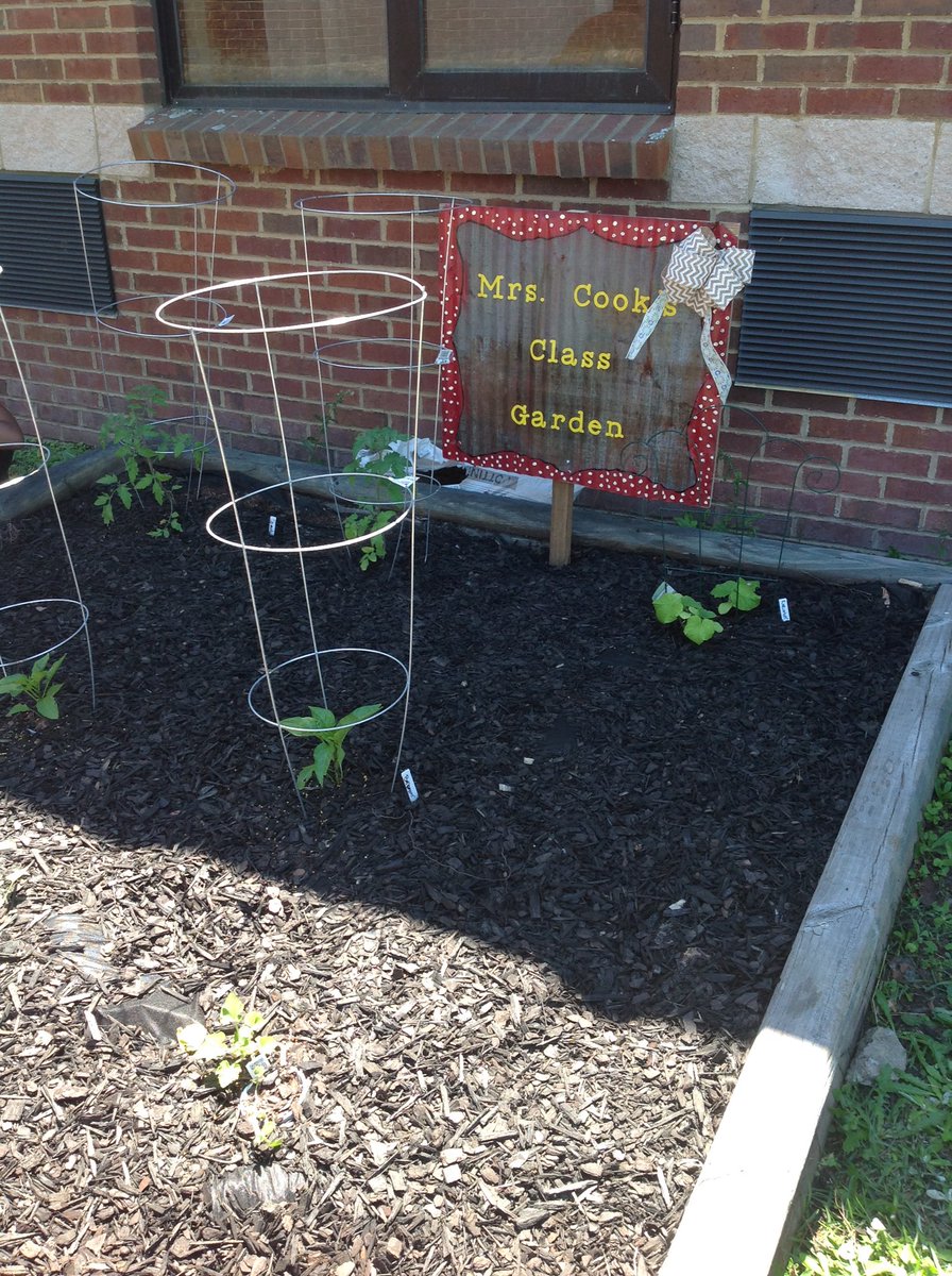 JessBurgessCook's tweet photo. Check out our super cute garden sign. #recycledproject @Ckanderson_LCSS @bfaircloth0211 @LibertyCoSchool @Wd32390 https://t.co/M5I4f8E52F