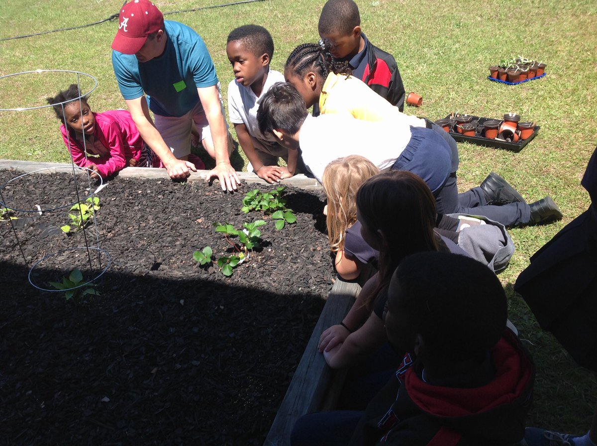 JessBurgessCook's tweet photo. Check out our super cute garden sign. #recycledproject @Ckanderson_LCSS @bfaircloth0211 @LibertyCoSchool @Wd32390 https://t.co/M5I4f8E52F