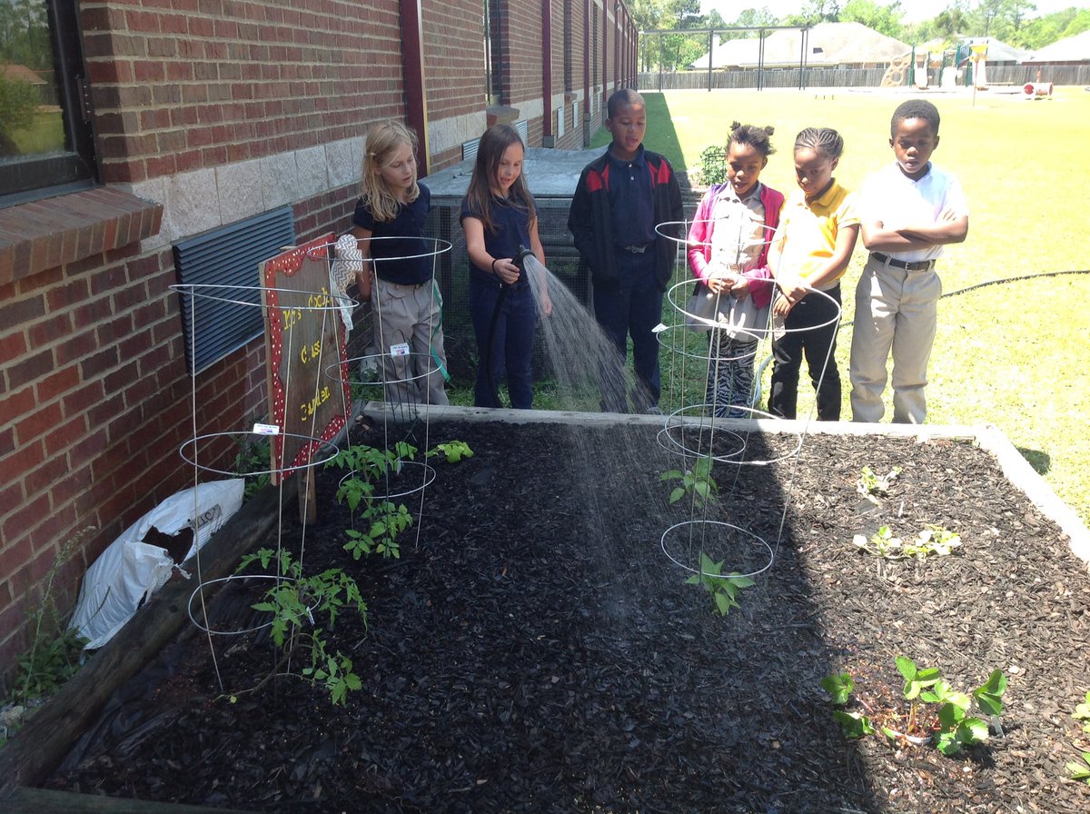 JessBurgessCook's tweet photo. Check out our super cute garden sign. #recycledproject @Ckanderson_LCSS @bfaircloth0211 @LibertyCoSchool @Wd32390 https://t.co/M5I4f8E52F