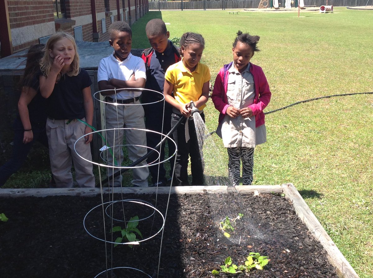 JessBurgessCook's tweet photo. Check out our super cute garden sign. #recycledproject @Ckanderson_LCSS @bfaircloth0211 @LibertyCoSchool @Wd32390 https://t.co/M5I4f8E52F