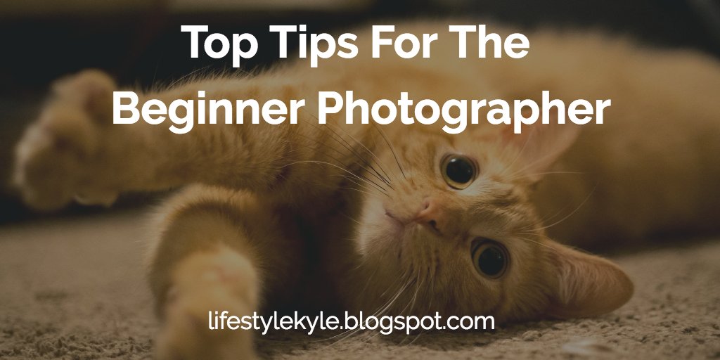 KyleStoutenberg's tweet image. I put together a list of tips that helped me become a better photographer! Check it out: buff.ly/1NeALAm