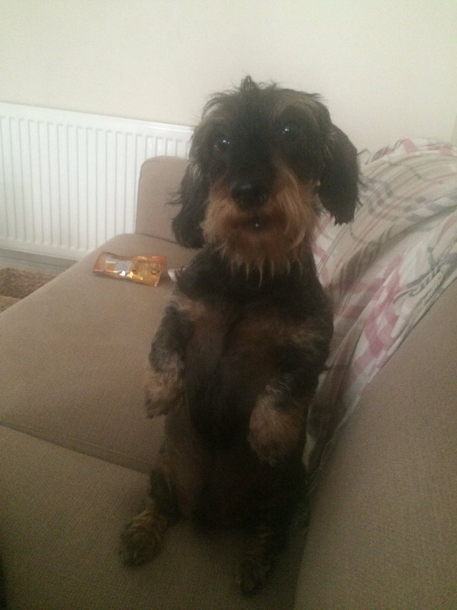 Archie_and_Me's tweet photo. I 💗💗that face xx https://t.co/RMo56lmWNe