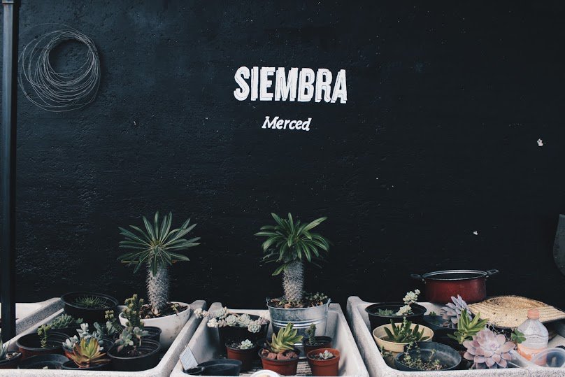timeoutmexico tweet media