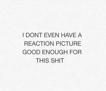 tylerpsarmy's tweet image. Spread some love for this adorable puppy #PoseyDay