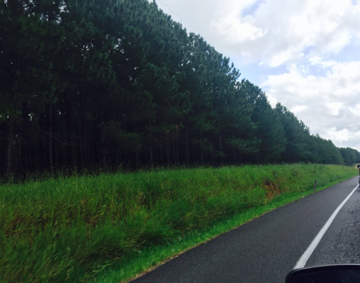 TheekshaniSA's tweet photo. Off to kondalilla falls #TrueAustralia https://t.co/SO3KMJSHT9