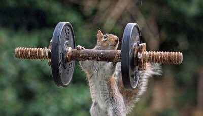 daddyruinsit's tweet photo. . @Ratatosk4 getting ready for next year's 2017mmm? Never too early! #PerfectPlanningPreventsPoorPerformance https://t.co/6DSfCYinLo