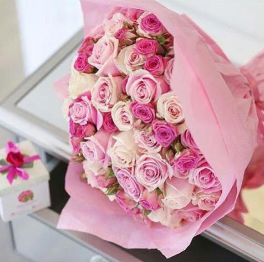gazaaal66 tweet picture