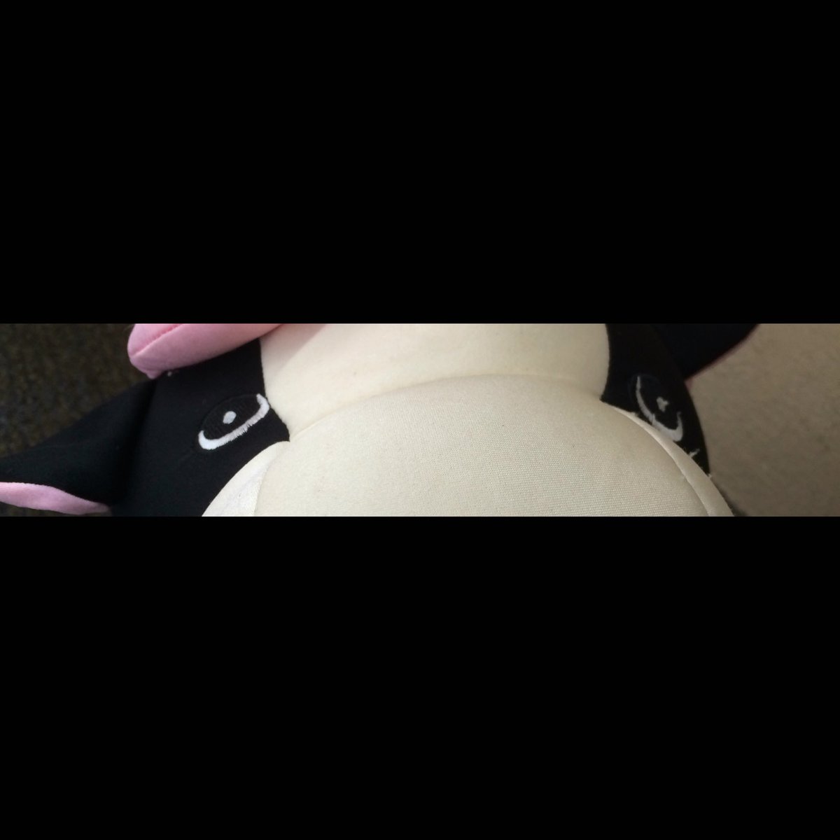OfficialCowSon's tweet photo. 5:00 sharp. Me vs @SierraBear1230 https://t.co/gvjQymknaz