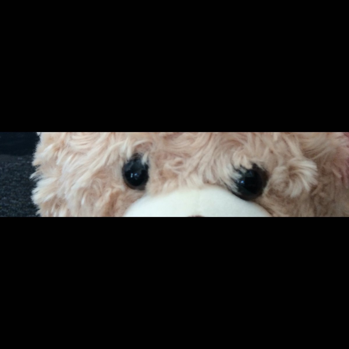 OfficialCowSon's tweet photo. 5:00 sharp. Me vs @SierraBear1230 https://t.co/gvjQymknaz