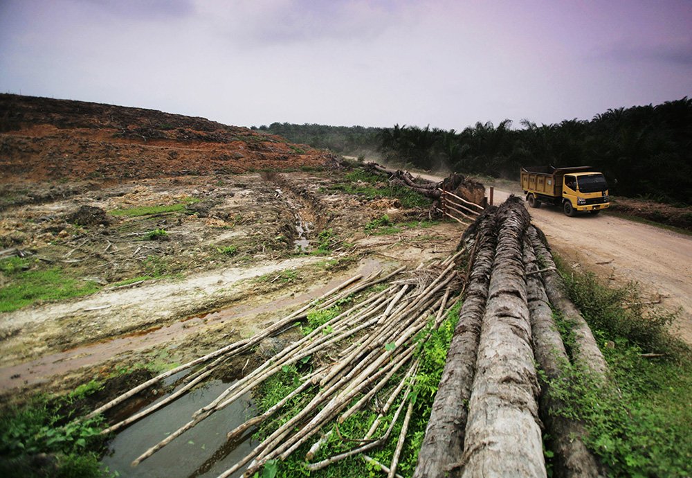 YaleE360's tweet photo. How forest loss is leading to a rise in mosquito-borne disease, including malaria &amp; dengue https://t.co/wsF3pRufcW https://t.co/B5F1ulVvOD