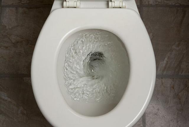 josborn77's tweet photo. Don't rush.  Please flush.  #toilets #FridayFeeling #SomedayisToday https://t.co/beLbCVHSOu