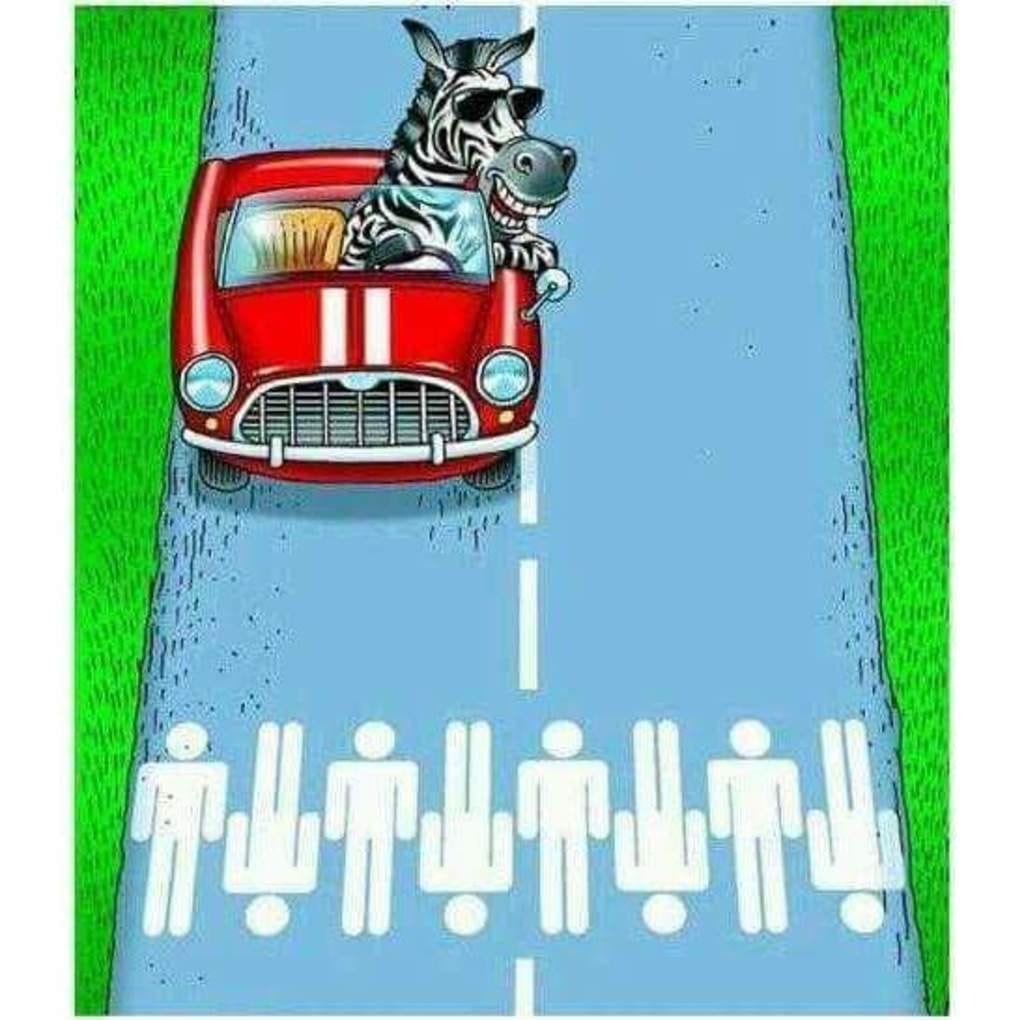 alisson135 tweet media