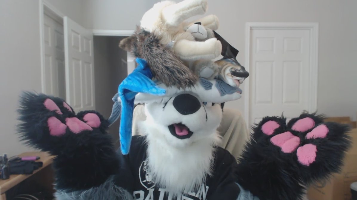 GammaRWolf's tweet photo. The plushie muzzle balance master. (Any idea how difficult this was?) #FursuitFriday #BalanceMaster #Plushies https://t.co/zPbn211vg7