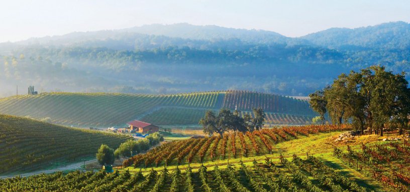 Great article on the Rhone movement in #pasorobles by <a href="/NUVOmag/">NUVO Magazine</a> bit.ly/1S1XpQR  #pasowine