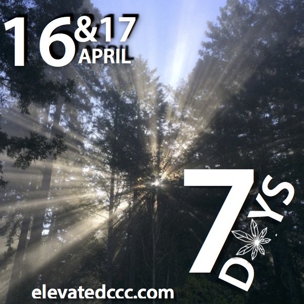 elevatedcannacc's tweet photo. 7 more days until #elevatedccc Dont miss CULTIVATOR FRIDAYS:  Receive 25% off a 2-day Registration ! https://t.co/3II6VqWheo
