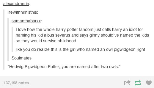 19 really funny Harry Potter posts that you maybe haven't seen yet |  BuzzFeed | Scoopnest