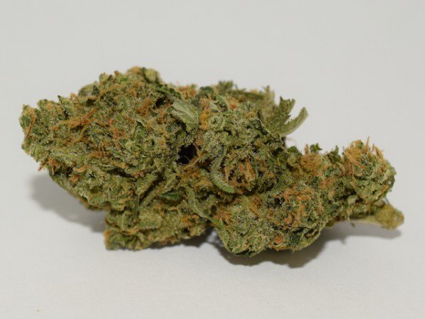 ThinkTankExile's tweet photo. #StevieWonder is Now a #Cannabis Strain Name. Check it out:  https://t.co/932GVY1ovT https://t.co/CoV29tsPDS