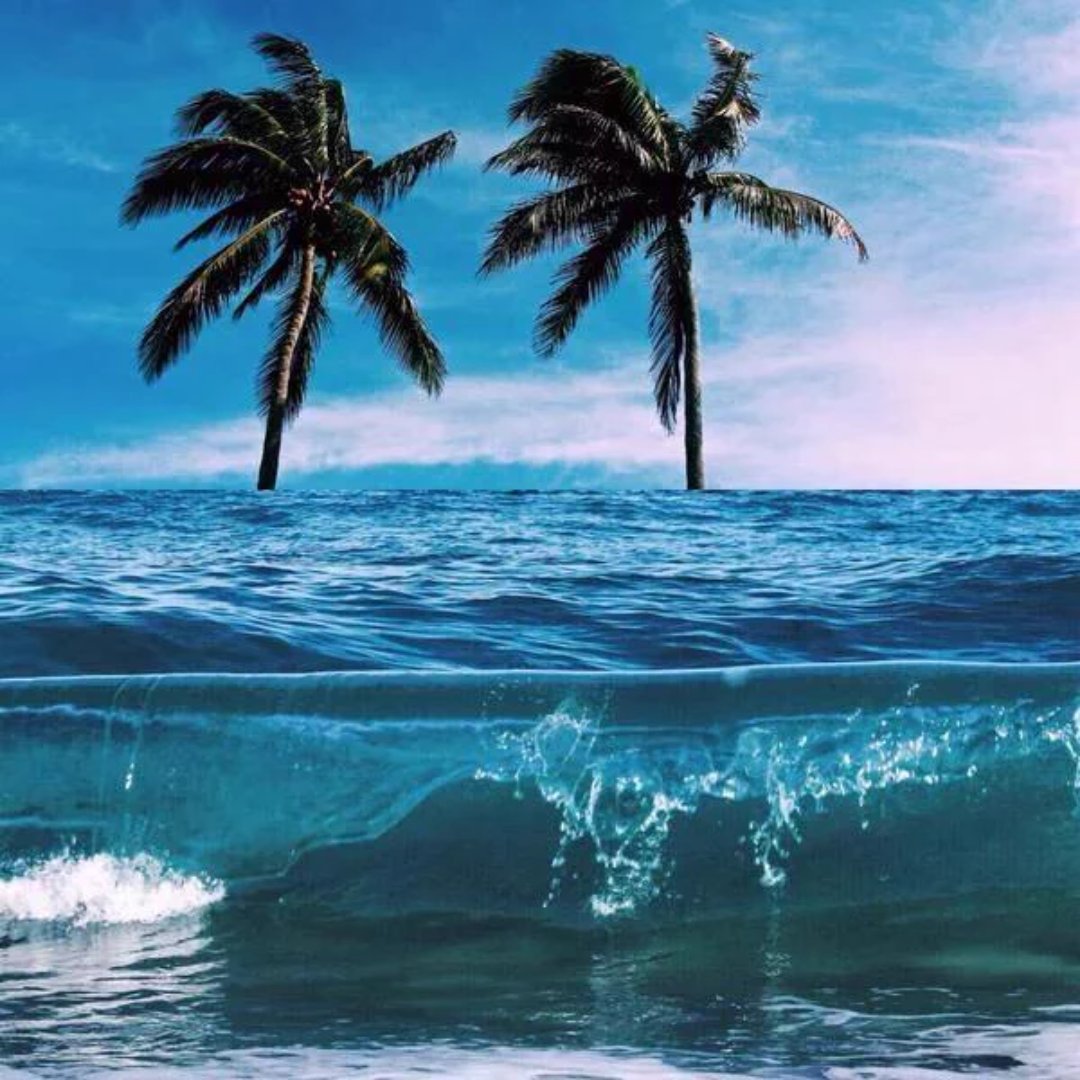 Adventurefull_'s tweet image. HURRY UP SUMMER 😭🌊🌴🌞