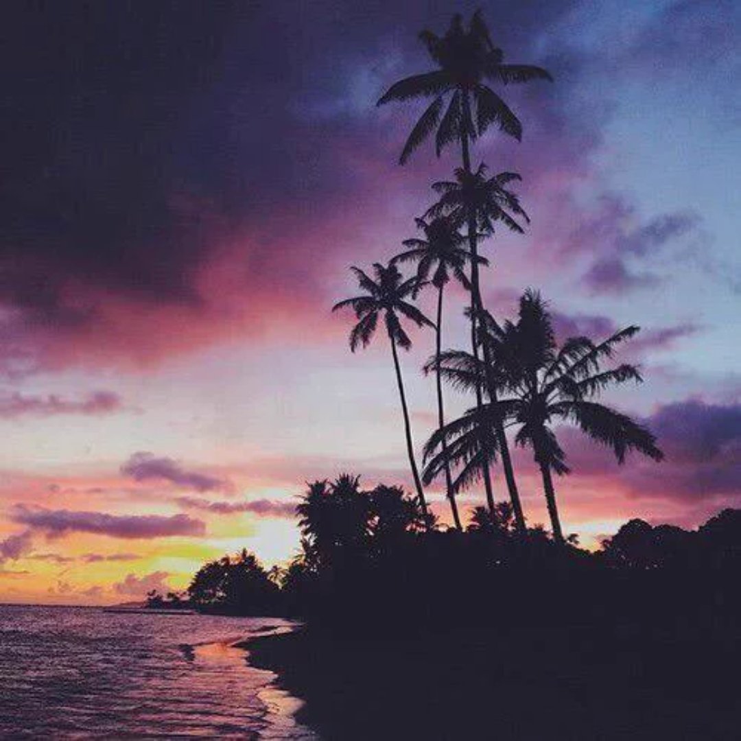 Adventurefull_'s tweet image. HURRY UP SUMMER 😭🌊🌴🌞