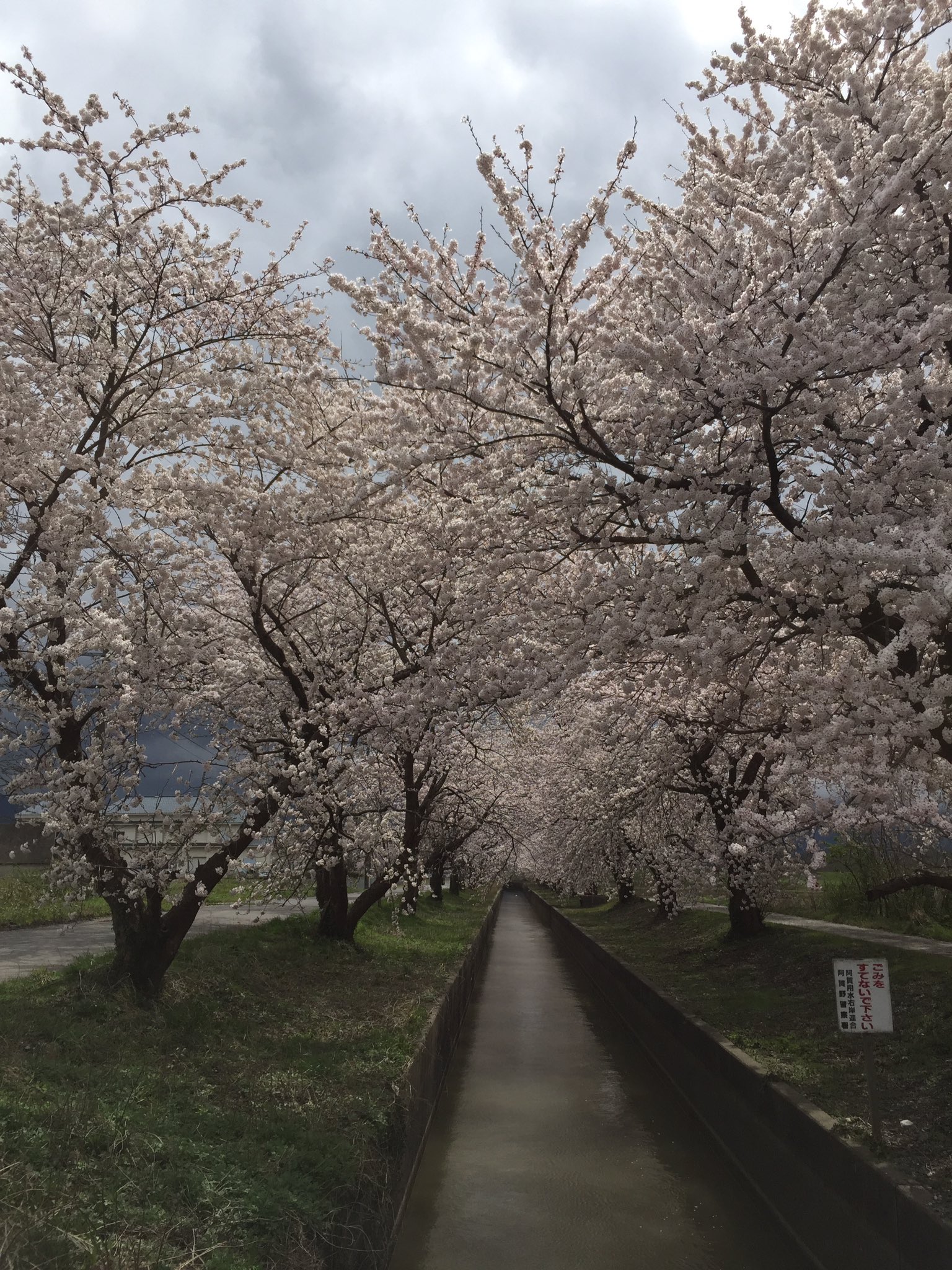 Follow 公式 ゆらりゆら 水鳥の宿 さきはな S Hotelsakihana Latest Tweets Twitter