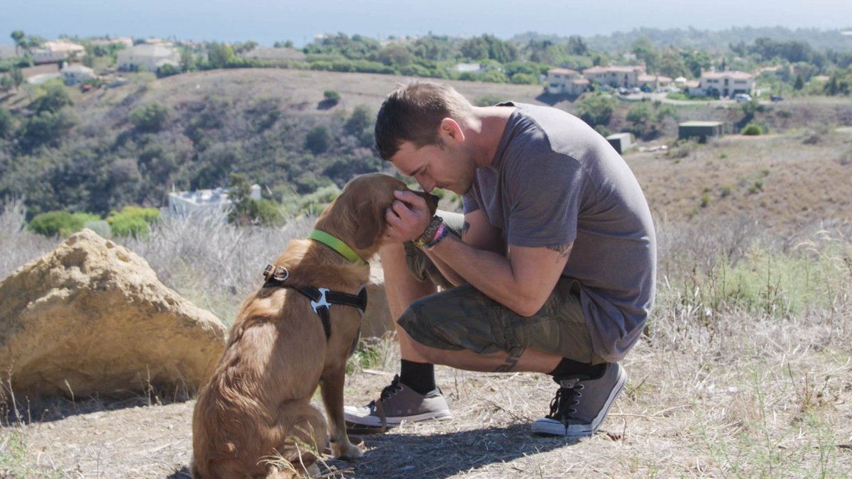 CBSLuckyDog's tweet image. Catch @BrandonMcMillan's emotional farewell to Scarlett the Golden Retriever mix TMRW on #LuckyDog!