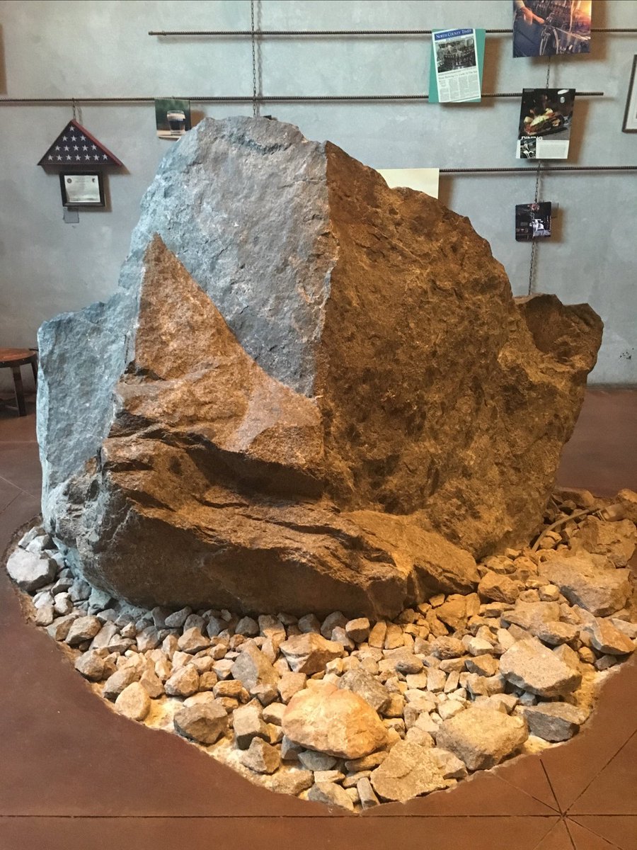 thewhileyoung's tweet image. 