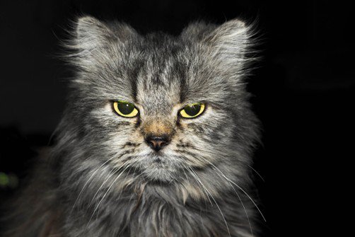 Everyone Gets Angry: 15 German Words and Phrases to Show the World You're Furious - bit.ly/1Yi6CpK