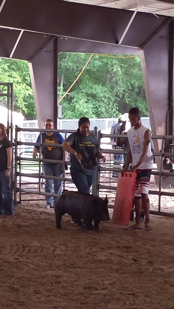 cynthiaw1982's tweet photo. DHS college counselor Melanie Bailey showing pig for Teach the Teacher #ctespringisd #believeinspring #4excellence https://t.co/iMywXFHf2M
