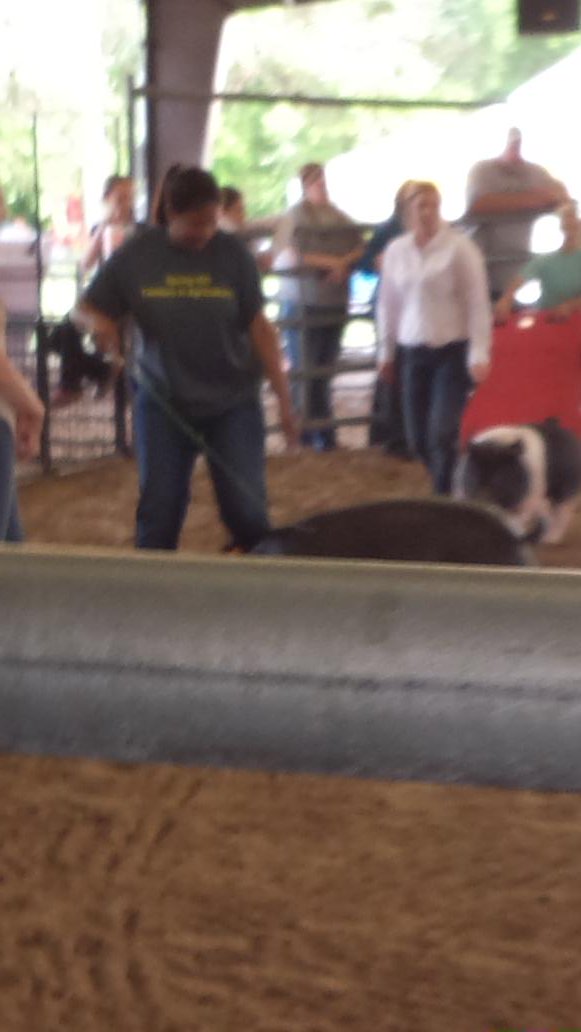 cynthiaw1982's tweet photo. DHS college counselor Melanie Bailey showing pig for Teach the Teacher #ctespringisd #believeinspring #4excellence https://t.co/iMywXFHf2M