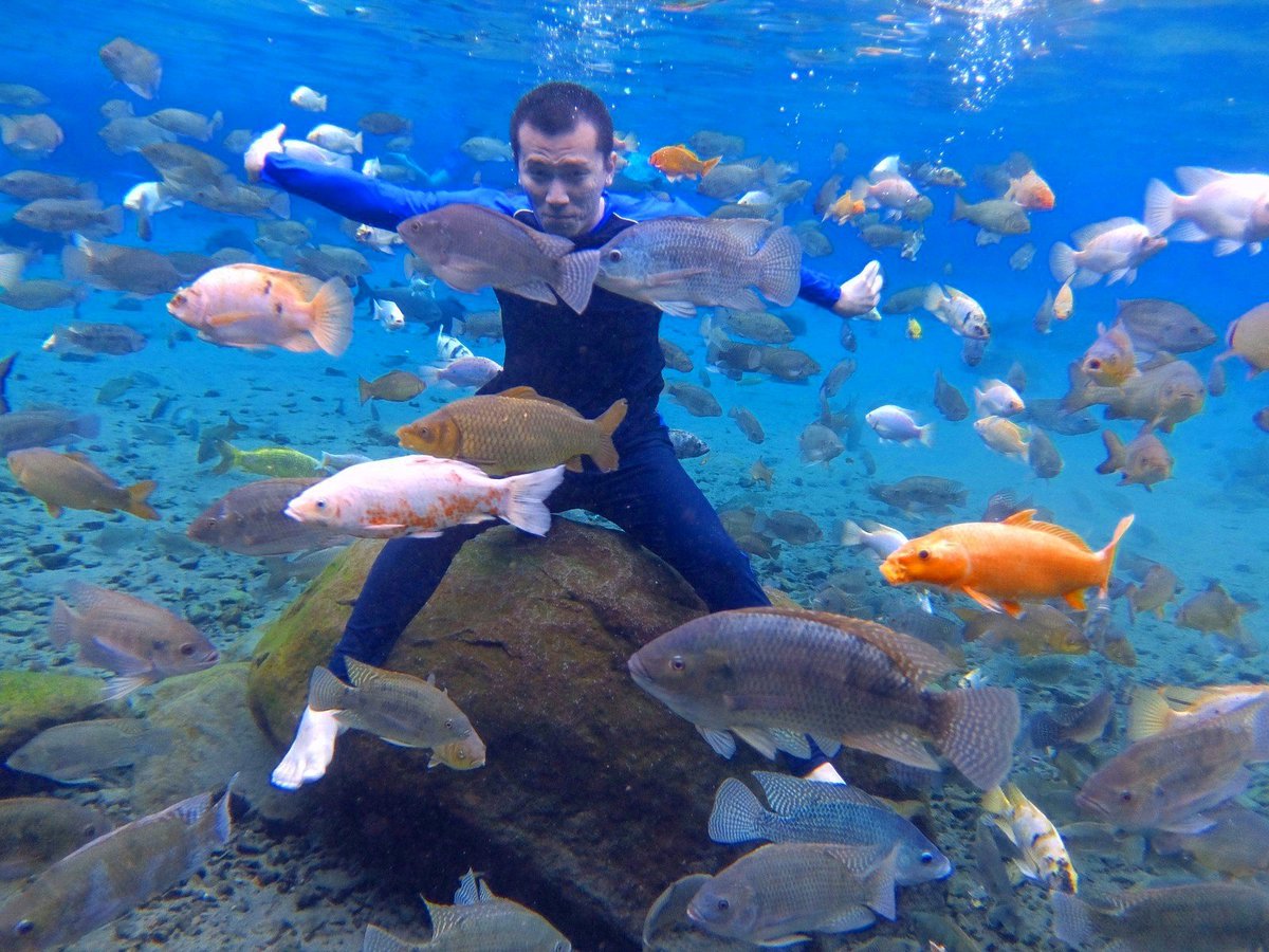 Selaluhimam's tweet image. Aduhh ust nih wkwk 😂😂@felixsiauw: Gayanya aja keren, aslinya hampir tenggelem hehehe.. #NoOnePerfect https://t.co/FHwrcYx35T"