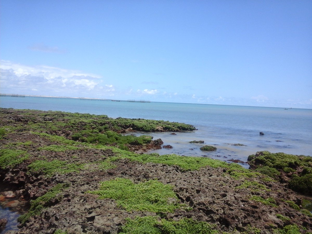 SandyMa99684698 tweet picture