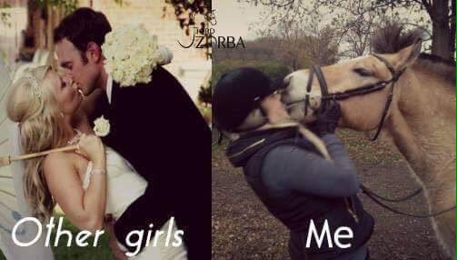 Mimosa_Equine's tweet photo. Perfect! equestrian #equestriantwitter https://t.co/0FNbZFxPJg