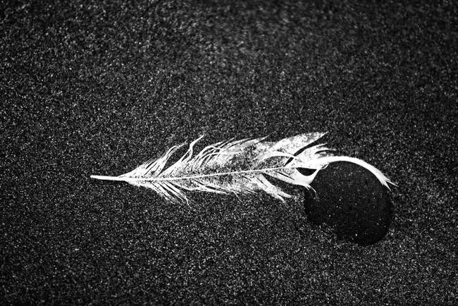 Watch Rick and Morty's leaked NSFW photo on TwXstars