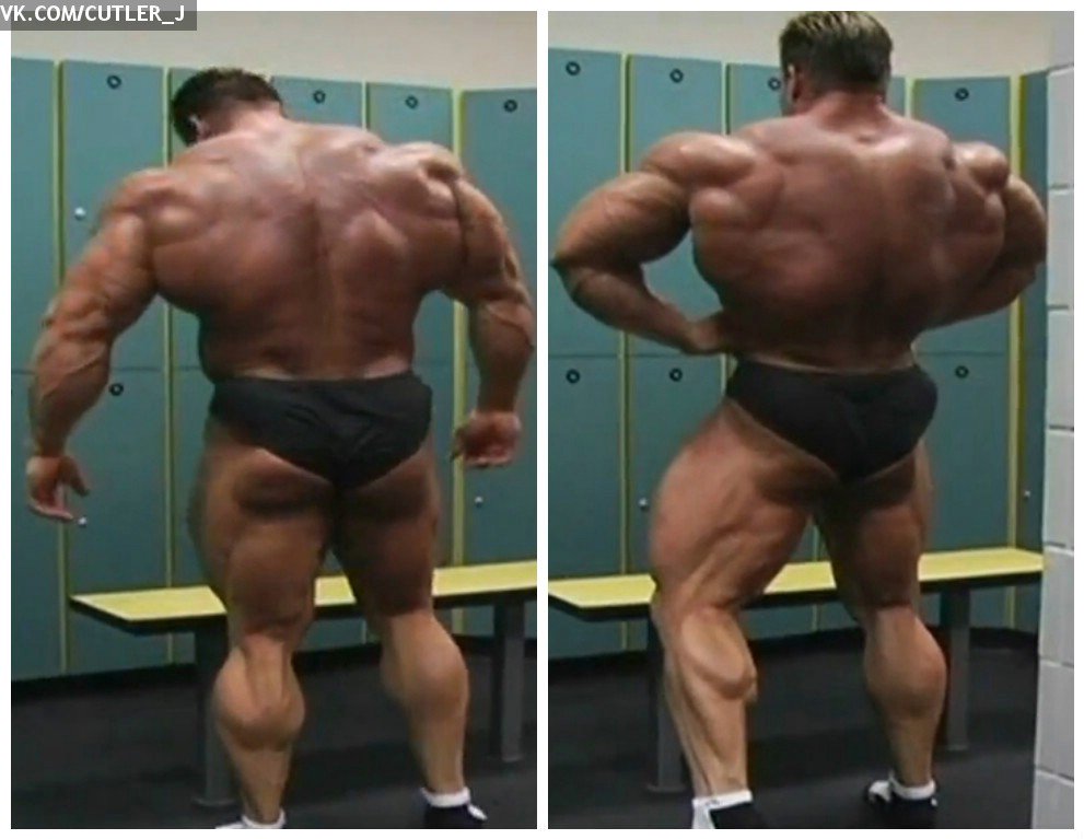 JayCutlerNation's tweet photo. Great Back @mrojaycutler !

#JayCutler #CutlerNation @DAVEMADMAX6 @hugeericdilauro https://t.co/vNRs3xP5ie