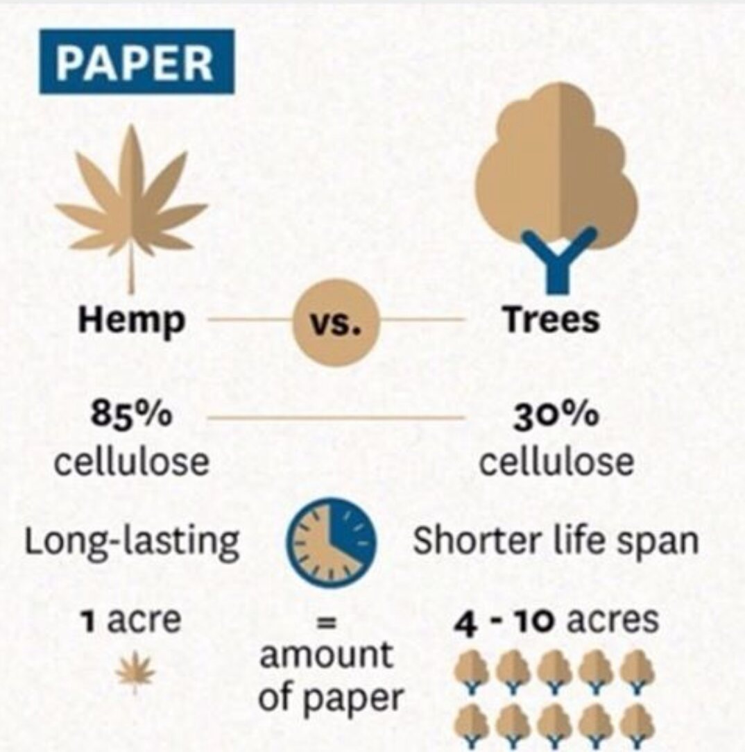 HempHelps's tweet photo. Leave the trees alone! #hemp #hempnottrees #paper 🌿 ❎ 🌳 https://t.co/nthv5zau2K