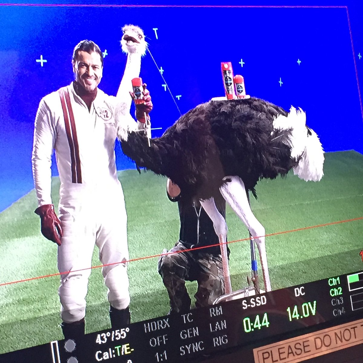 LesBrandt's tweet image. My NEW Old Spice campaign begins TODAY! Here are some photos from the shoot.  imdb.com/media/rm331514…