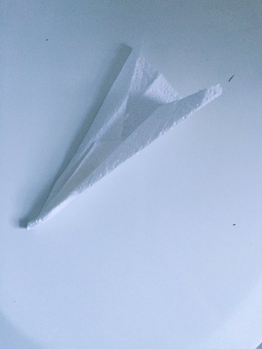 nathanhanger's tweet photo. The kids have official taken over my #CreativeSprint #toiletpaperairplane https://t.co/y2cCehVKH0