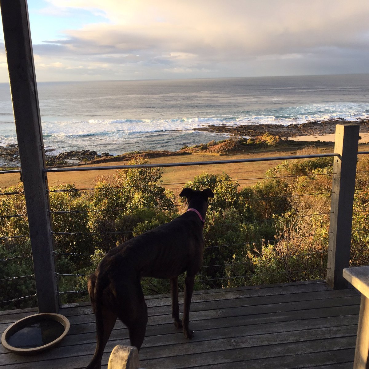 MarkTaylor61's tweet photo. Apollo bay holiday 👍 https://t.co/BZGVP4ovsI