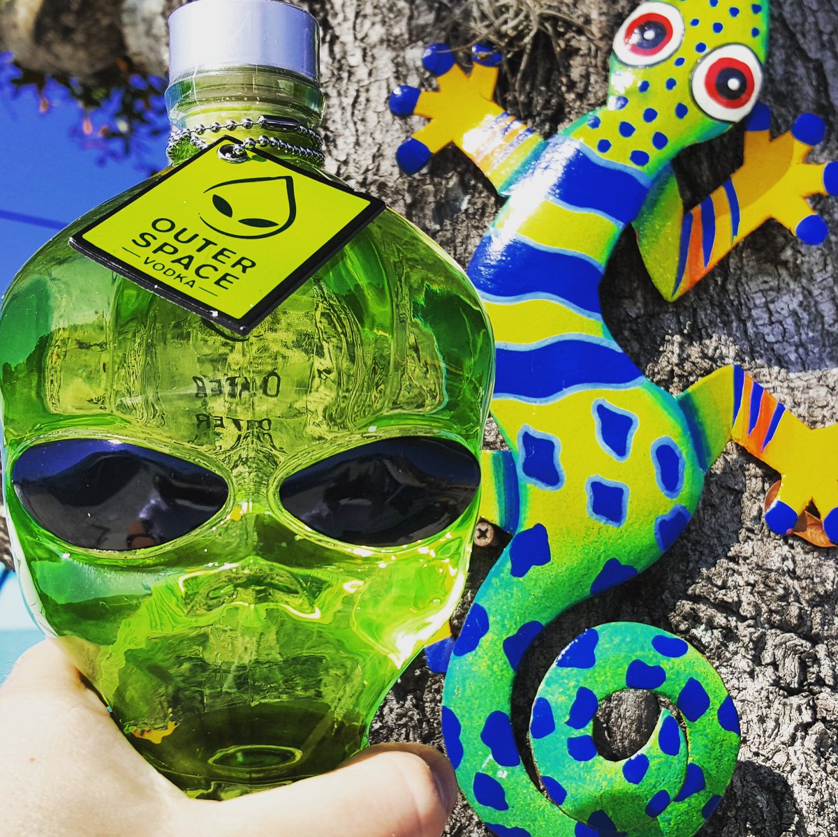 Making reptilian friends in Florida 👽✌#gecko