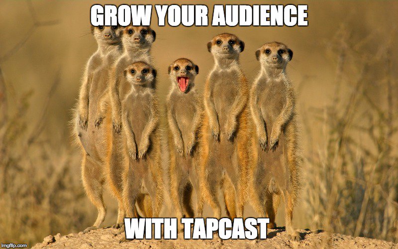 Laugh with friends and make new ones. Only <a href="/tapcast/">Tapcast</a>! For More info and download link: bit.ly/1q1Heta
