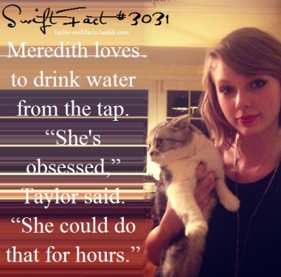 SwiftfactTaylor's tweet image. 