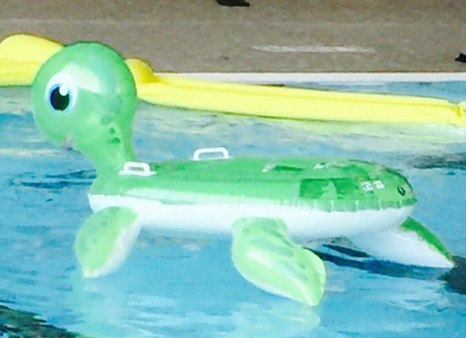 GrangerHS's tweet photo. Don't be a turtle! Run over to the Aqua Stomp tonight! #grangerpics #aquastomp https://t.co/YB9bkWqiz4