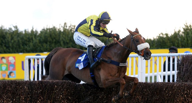 racingtips's tweet photo. RT if you're backing #TheLastSamuri to win the #GrandNational

He's best price 8/1 with https://t.co/yjHIl3XLro https://t.co/z1J2r8LFfG