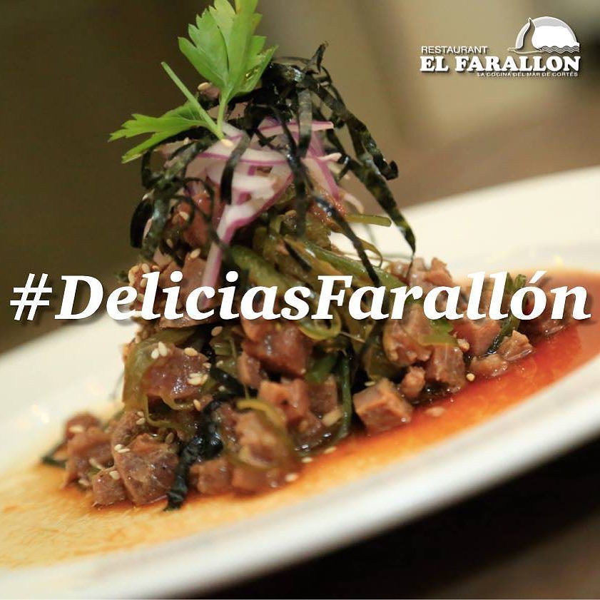 LosMochisNews's tweet photo. Este Atún Maguro Jalapeño llenará tu paladar de exquisitos sabores. ¿Quién quiere probar? #DeliciasFarallón #ElFara… https://t.co/MJJ55Zaig8