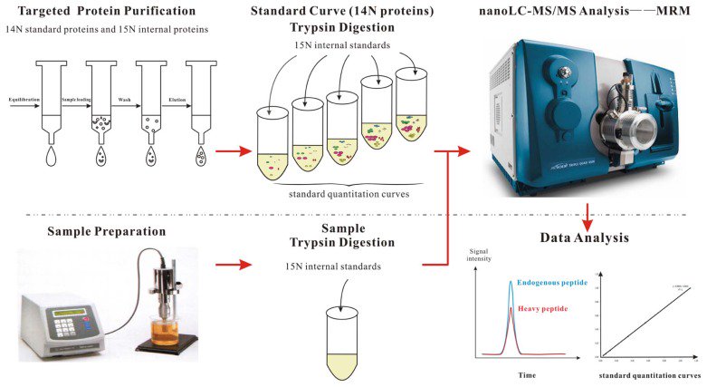 ProteomicsStory's tweet photo. Absolute Quantification of proteins in the fatty acid biosynthetic pathway using PSAQ
https://t.co/iEwUYng487 https://t.co/YifUBKiLv0