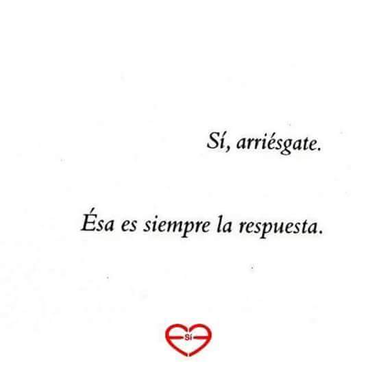 Insurrectas tweet picture